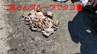 1597581832339.jpg