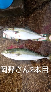 1602978617448.jpg