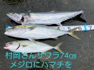 1603092777253.jpg