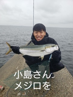 1603093331665.jpg