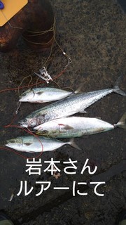 1603095357545.jpg