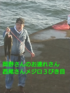 1603619226813.jpg