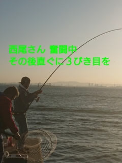 1603619309463.jpg