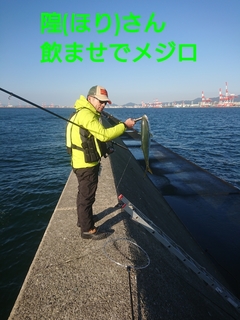 1603619521684.jpg
