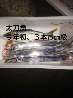 1604240812944.jpg