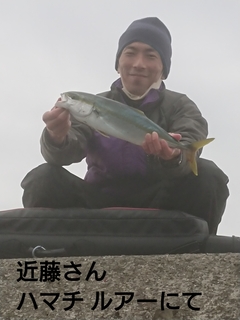 1606611508808.jpg